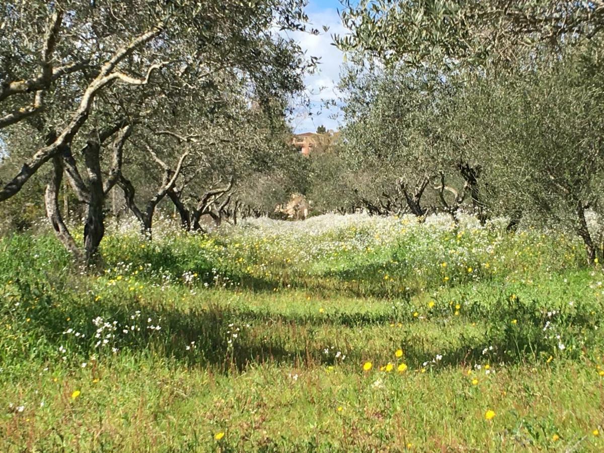 Mimosa Bilocale Cala Liberotto Dış mekan fotoğraf