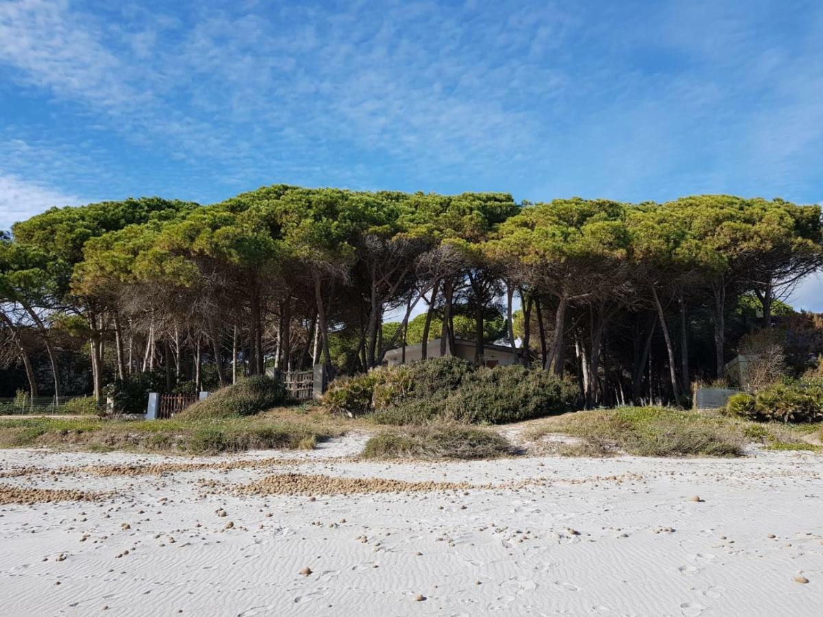 Mimosa Bilocale Cala Liberotto Dış mekan fotoğraf