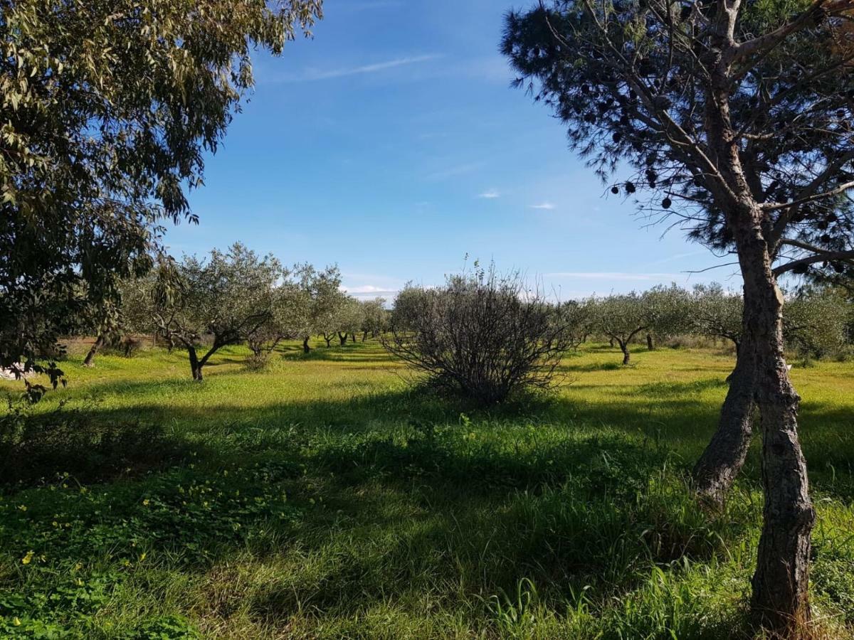 Mimosa Bilocale Cala Liberotto Dış mekan fotoğraf