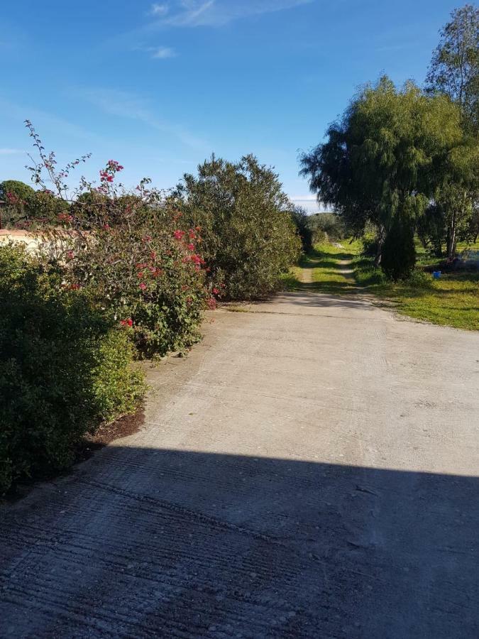 Mimosa Bilocale Cala Liberotto Dış mekan fotoğraf