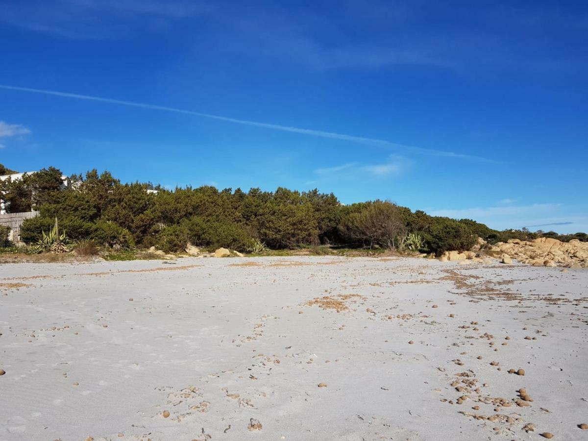 Mimosa Bilocale Cala Liberotto Dış mekan fotoğraf