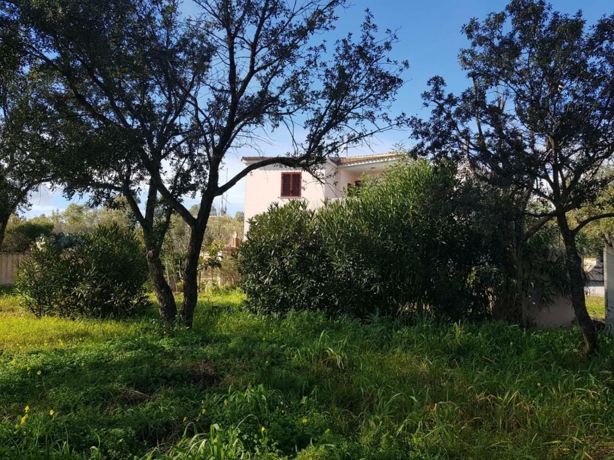 Mimosa Bilocale Cala Liberotto Dış mekan fotoğraf