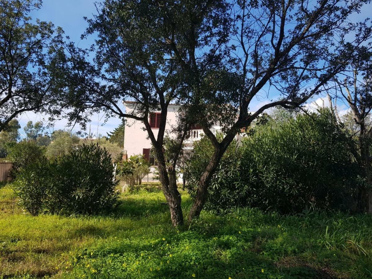 Mimosa Bilocale Cala Liberotto Dış mekan fotoğraf