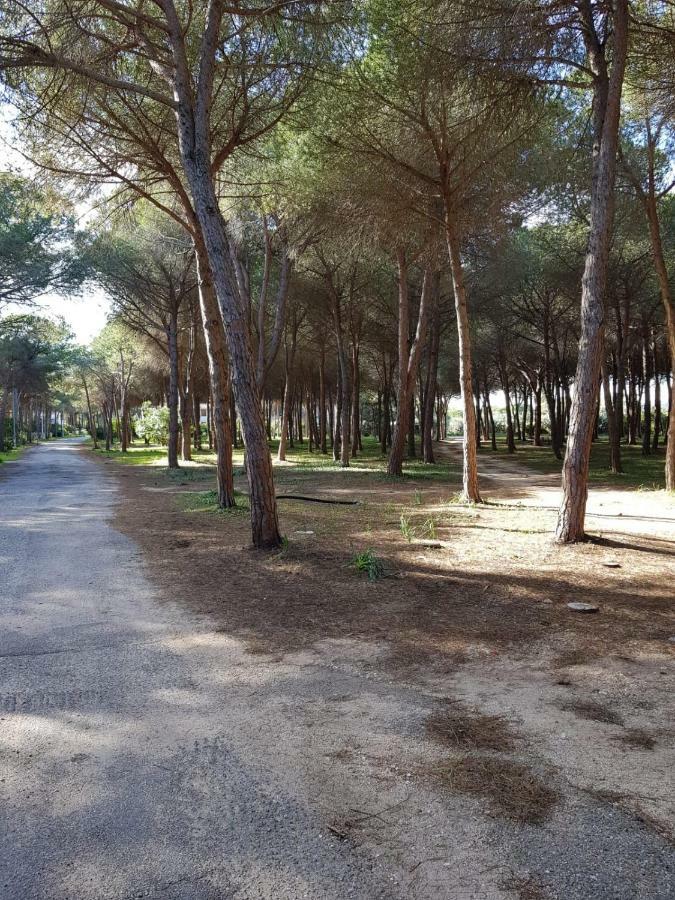 Mimosa Bilocale Cala Liberotto Dış mekan fotoğraf