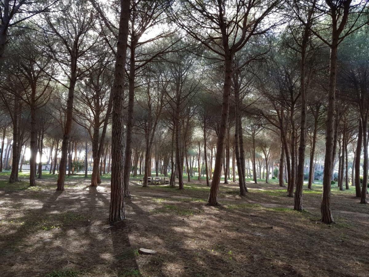 Mimosa Bilocale Cala Liberotto Dış mekan fotoğraf